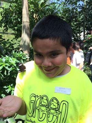 kid with butterfly kid with butterfly